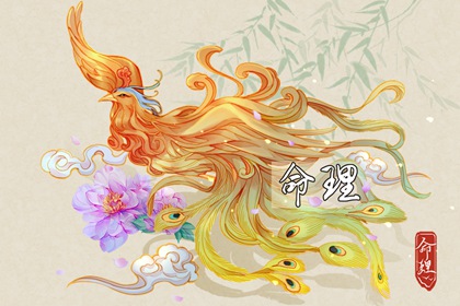 择吉老黄历皇历,老皇历查询,择吉老皇历